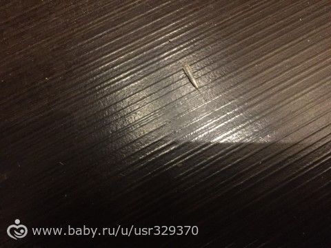 Кто распознает животное?)
