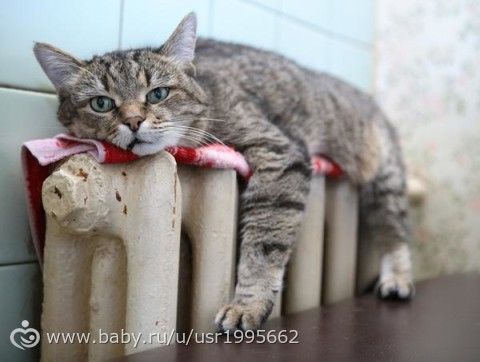 Когда отключат отопление в 2016 году: с Сибири пока и с батареями хорошо