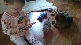 Кто помнит предыдущий пост Кто помнит предыдущий пост