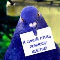 Признаки мальчика или девочки при беременности Признаки мальчика или девочки при беременности