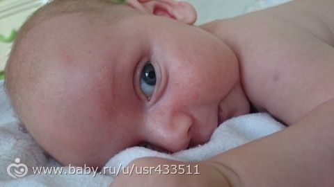 доча и сынок