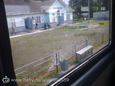 Мишино БОЛЬШОЕ ПУТЕШЕСТВИЕ 27.06 Пермь - Нижний Новгород