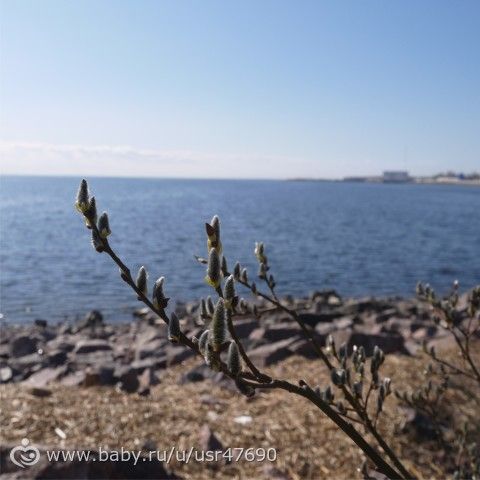 &amp;quot;Позитив и улыбки с понедельника и до воскресенья! И так каждую неделю! ;))&amp;quot;