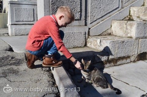 Нечаянно Крым наш