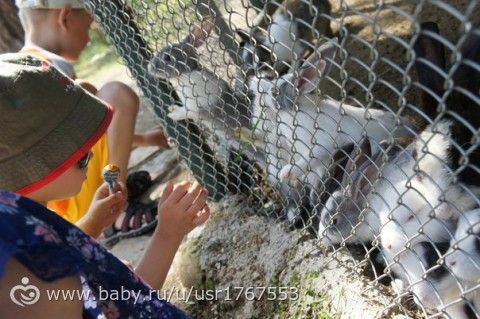 Наш отдых в Турции. Часть 7. Экскурсия в парк динозавров.Начало болезни