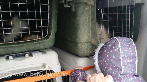 20 месяцев. Мы, спустя 5 месяцев и их в течение.