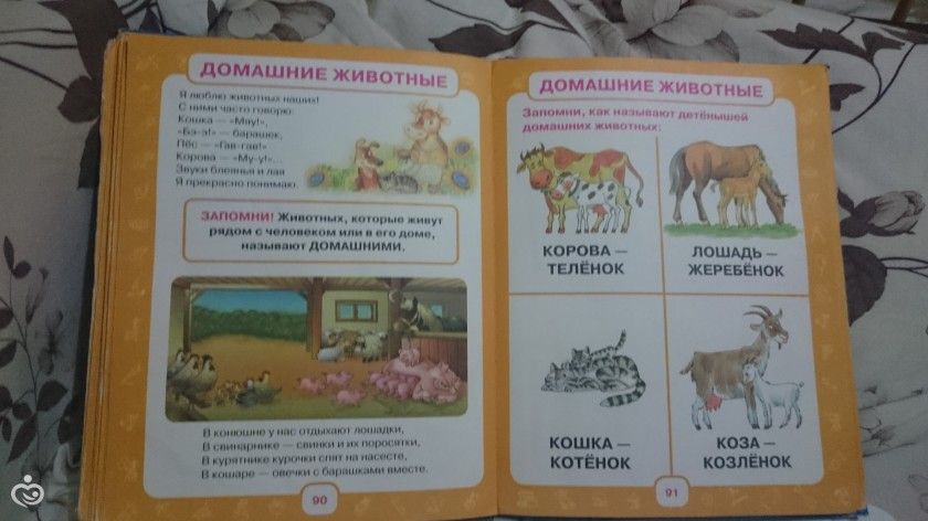 маленькие палеонтологи