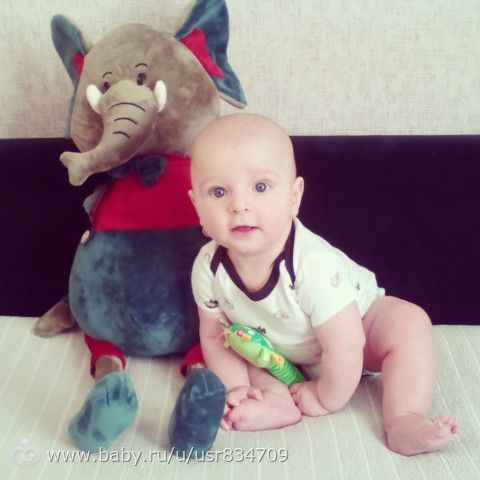 5 месяцев!