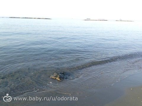 Думаю, не один турист тут ногу сломал