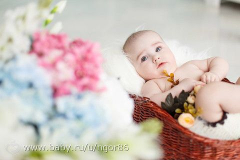 Фотосессия малыша в 6 месяцев