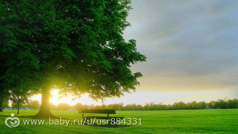 Где отдохнуть в Спб с детьми?
