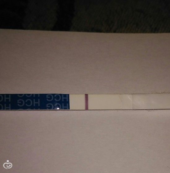 Тест , видите ли вы?