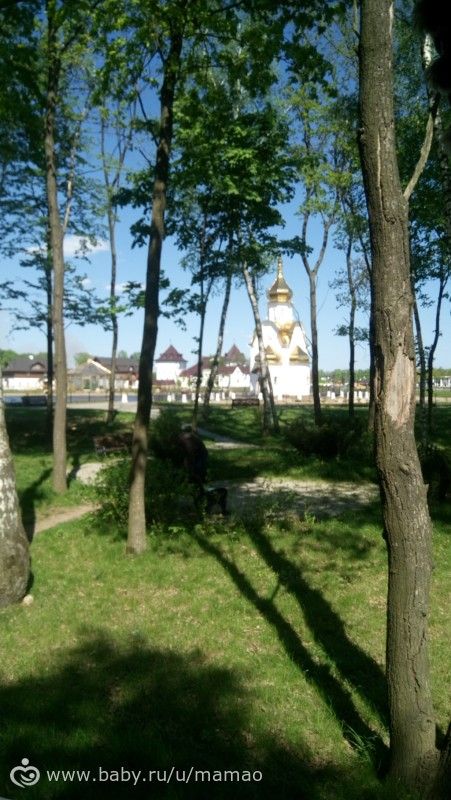 Наши выходные - национальный конный парк Русь (фото)