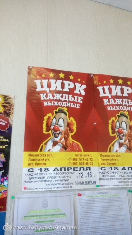 Наши выходные - национальный конный парк Русь (фото)