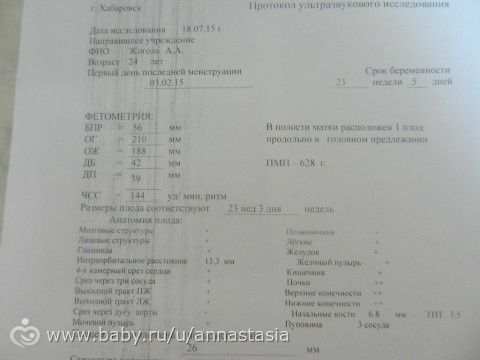 Веста запись на узи