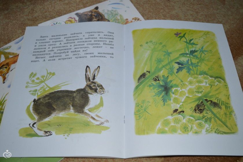 Книжное пополнение ноябрь.