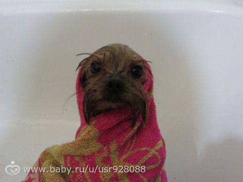 Сегодня у нас банный день, присоединяйтесь))