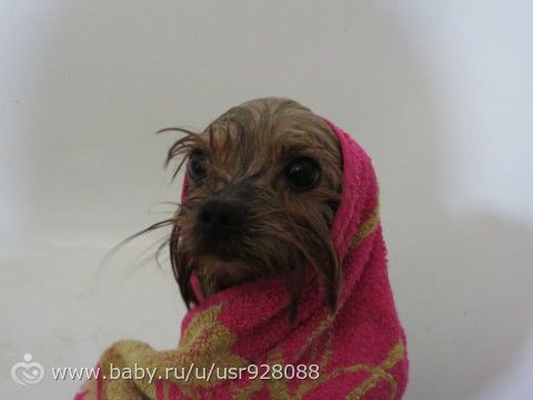 Сегодня у нас банный день, присоединяйтесь))