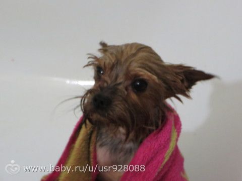 Сегодня у нас банный день, присоединяйтесь))
