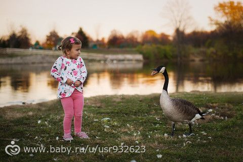 Ты не бойся - это гусь. Я сама его боюсь!