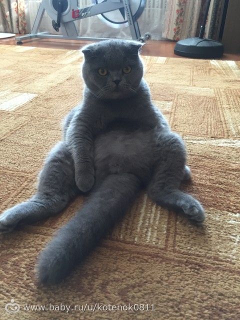 Как внешность иногда обманчива)))?????