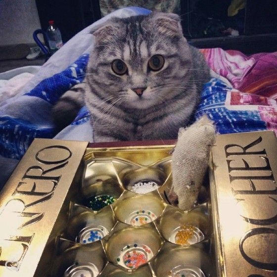 Царь! Очень приятно, Царь!