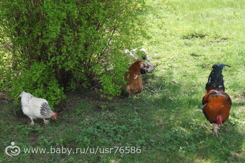 Наше путешествие. По Есенинским местам