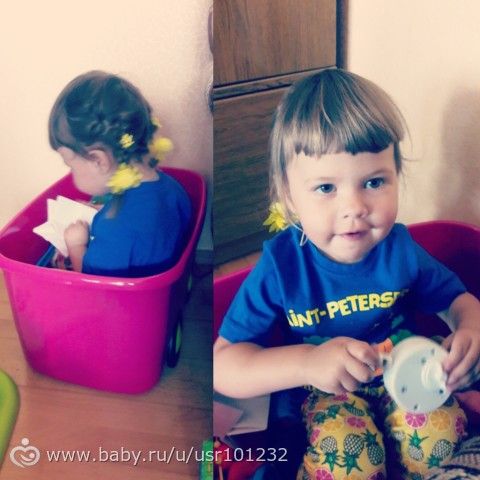 О Бельчонке)
