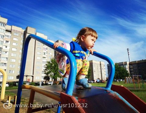 О Бельчонке)