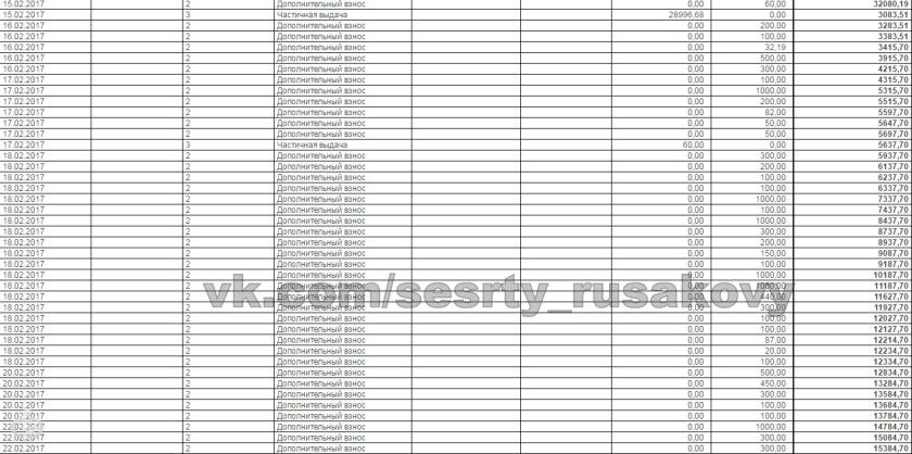 Отчет о собранных средствах за февраль для Вари и Риты Русаковых