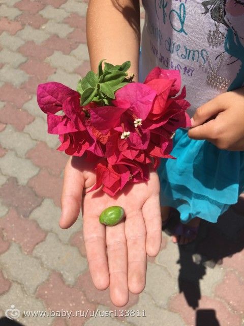 Израиль. Монастырь Латрун.