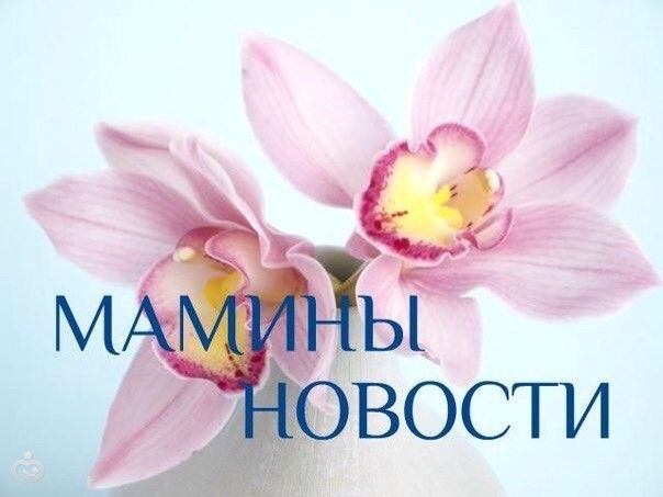 Новости Саши Канева из СПб 11 ноября 2016