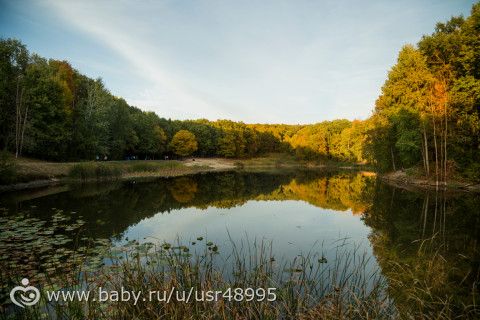 Визитная карточка - фотограф Кристина Миневич.