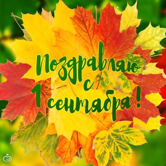 Мандражу