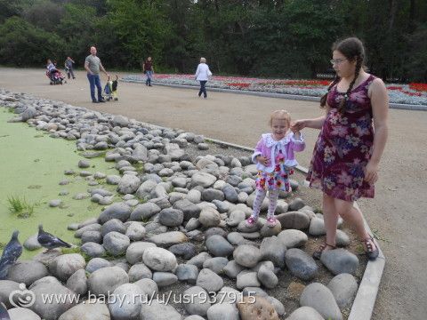единение с природой 2.дендрарий