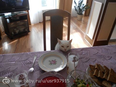 общение с родственниками