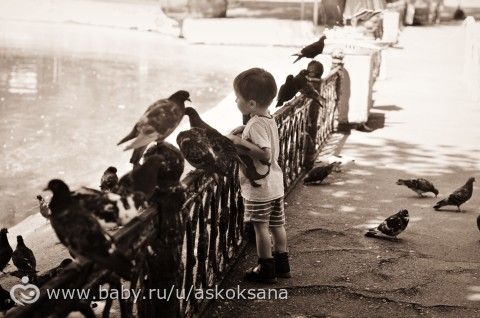 Мое хобби - фотография! Визитка!