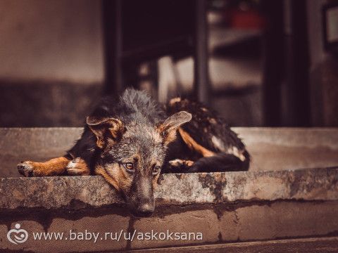 Мое хобби - фотография! Визитка!