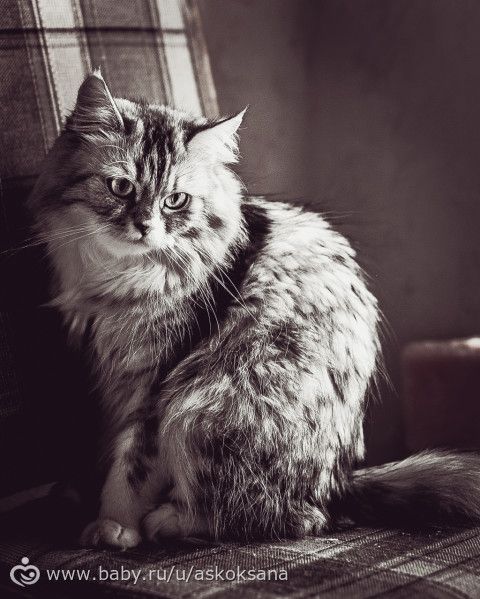 Мое хобби - фотография! Визитка!