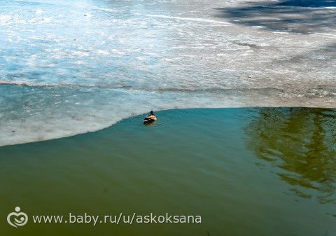 Весна на Заречной улице, а точнее в Кузьминском парке)