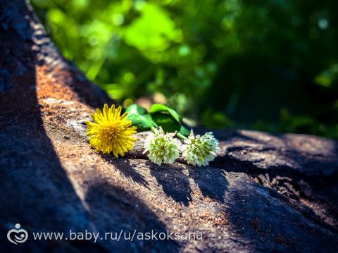 Мои работы с фотоконкурса в инсте) 2016