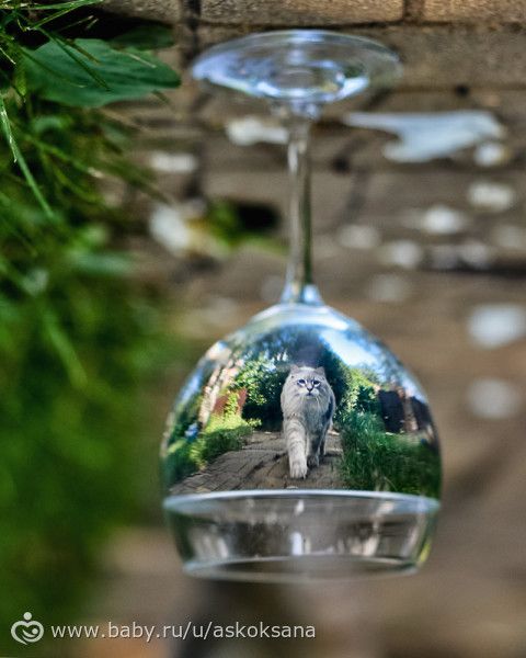 Мои работы с фотоконкурса в инсте) 2016