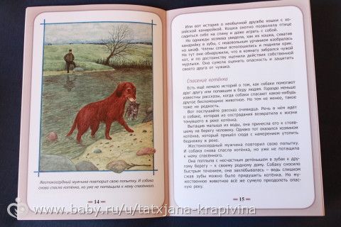 новые книги