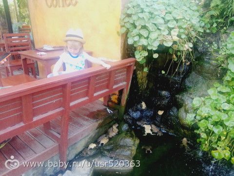 Как мы открывали ЮВА Тайландом. 2016г. Часть 6. Развлечения на Самуи.