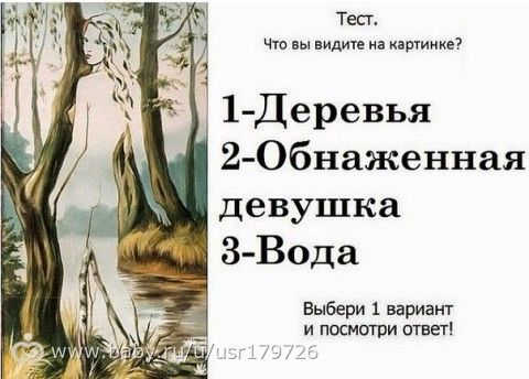 Тест