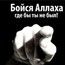 Амина Амина