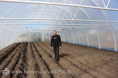 365. День 170. Помоталась