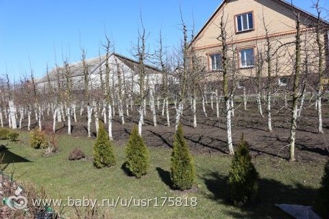 365. День 170. Помоталась
