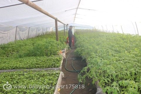 365. День 170. Помоталась