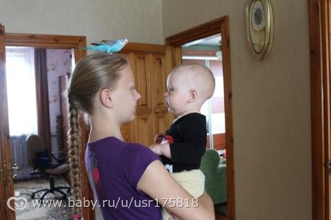 365. День 188. Генуборочный